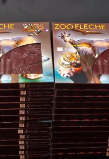 Boite personnalisé zoo de la flèche